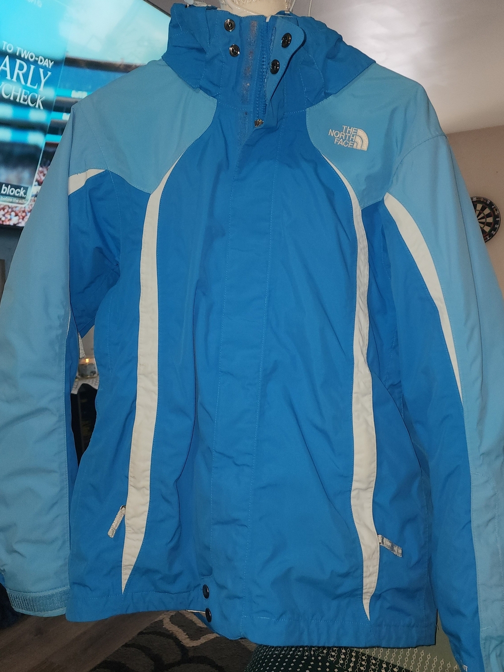 The North Face Women's Blue Insulated Hooded Jacket Sz LRG